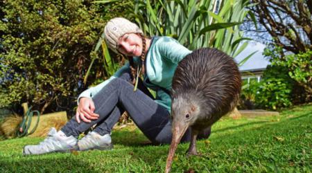 Du học Hè tại New Zealand – Chuyến đi xanh